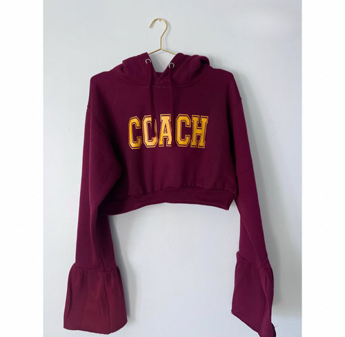 Coach cropped hoodie (medium)